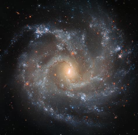 Hubble Snaps Spiral Galaxy’s Profile – From Hydra Constellation, 80 ...