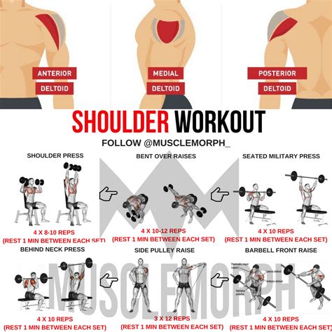 Shoulder Deltoid Workout – Deltoid Exercises For Dumbbells – XYFQCY