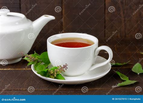 Tulsi or Holy Basil Tea Drink for Healthy. Stock Image - Image of ...