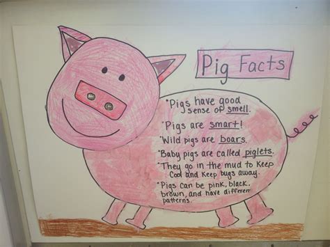 Pinterest | Pig facts for kids, Pig crafts, Vocabulary activities
