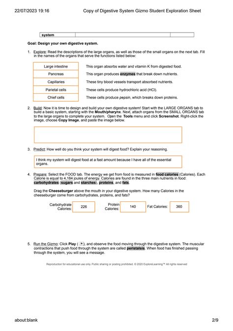 SOLUTION: Copy of digestive system gizmo student exploration sheet ...
