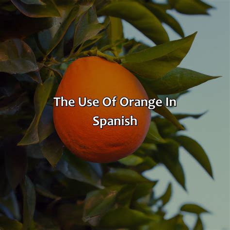 What Is The Color Orange In Spanish - colorscombo.com