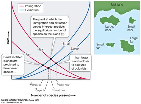 Immigration Biology Denmark To Relax Immigration Policies For