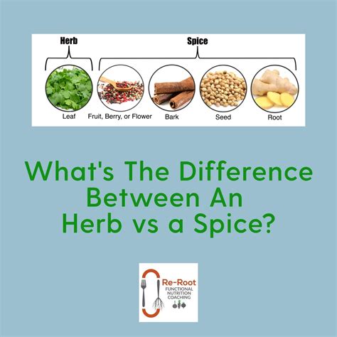 Herb vs Spice - ReRoot