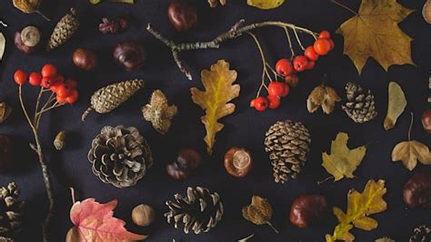 Plimoth Patuxet Workshops: Fall Wreath Making, Plimoth Patuxet Museums ...