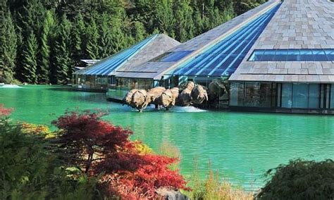 RED BULL GLOBAL HEADQUARTERS (2026) All You Need to Know BEFORE You Go ...