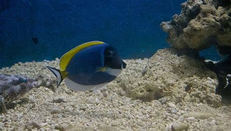 18 Best Places To Visit In Ratnagiri In 2026 For An Amazaing Vacay