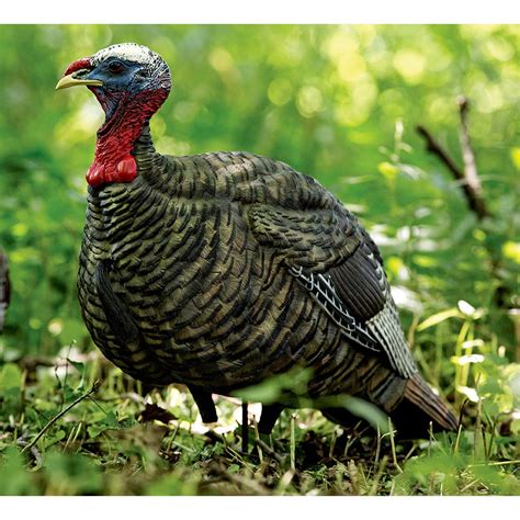Avion X LCD Quarter Strut Jake - Decoy Turkey – Standish Milling Company