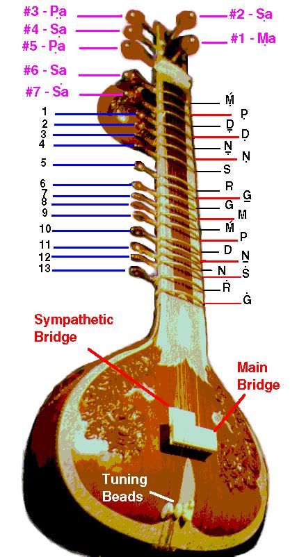 Image result for Basic Sitar