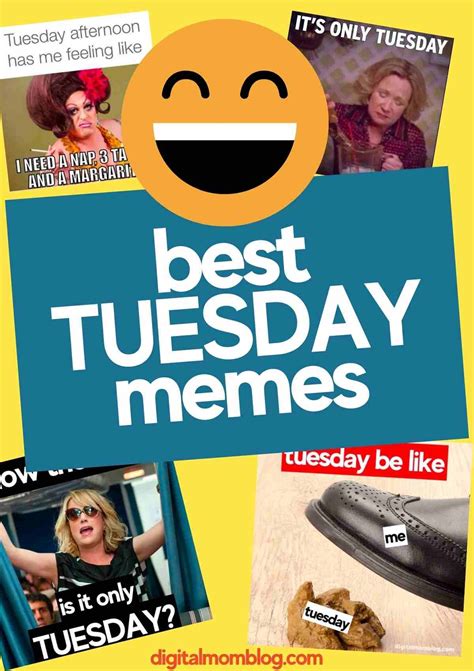 Tuesday Memes That Understand The Struggle | 25 funny tuesday memes and ...
