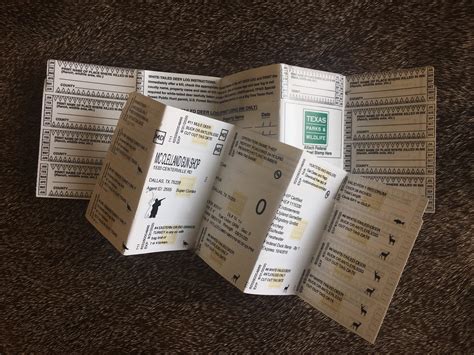 Texas quail on the rise — numbers up across state - Texas Hunting ...