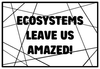 ECOSYSTEMS LEAVE US AMAZED! Grade 4 And 5 Science Coloring Pages school ...