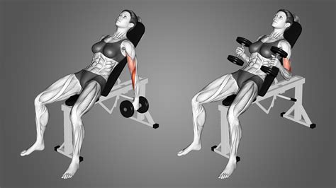 Forward Lean Hammer Curl at Skye Kinsella blog