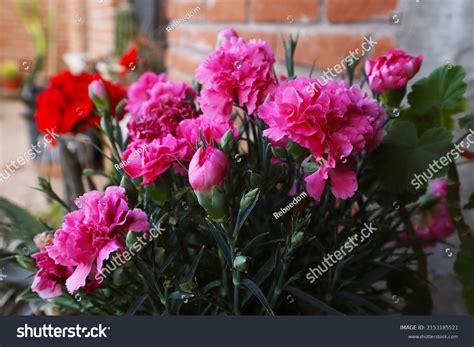 Fragance: Over 1,555 Royalty-Free Licensable Stock Photos | Shutterstock