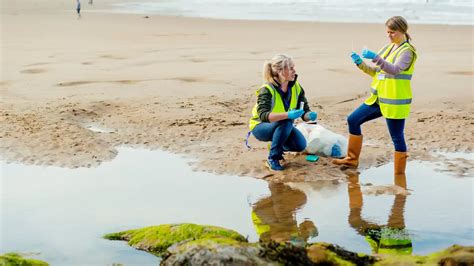 Different Types of Environmental Science 的图像结果