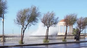 Libeccio 的图像结果