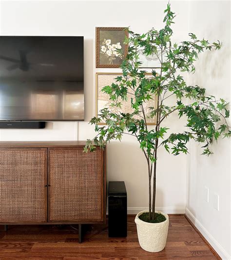 Wall Mount TV Hide Cable Box 的图像结果