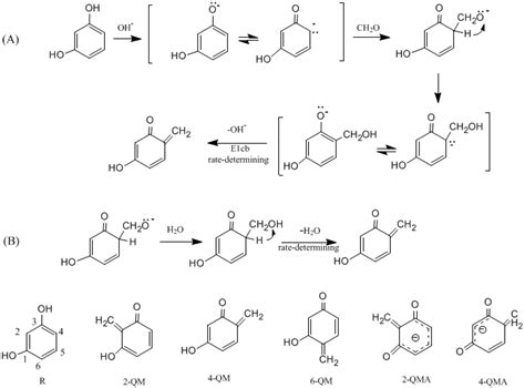 Mechanism of Base-Catalyzed Resorcinol-Formaldehyde and Phenol-Resorcinol-Formaldehyde ...