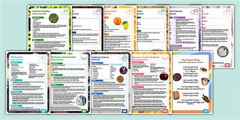 EYFS All About Me - My Senses Resource Pack (Ages 2-3)
