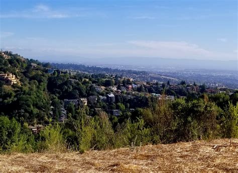 The Trails of Claremont Canyon: Take a Walk on the Wild(er) Side ...