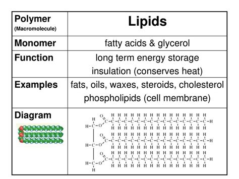 Organic Compounds. - ppt download