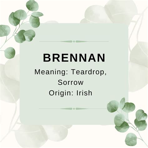 Brennan Name Meaning