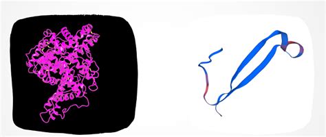 Bioinformatics Sequence 的图像结果