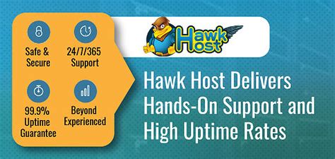 Hawk Host: How a Commitment to Delivering Hands-On Support and High Uptime Rates Has Led to a ...