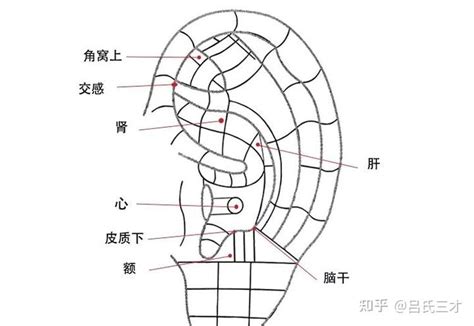 Image result for What Are Consider Computer Program