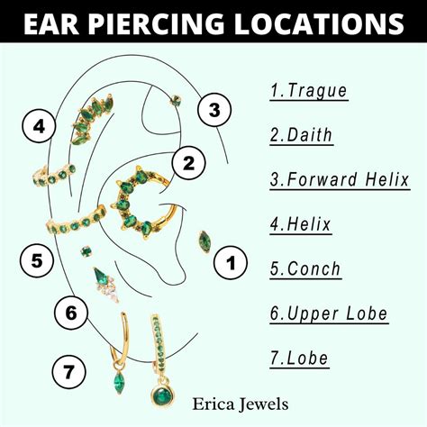 11 Most Popular Ear Piercing Locations – EricaJewels