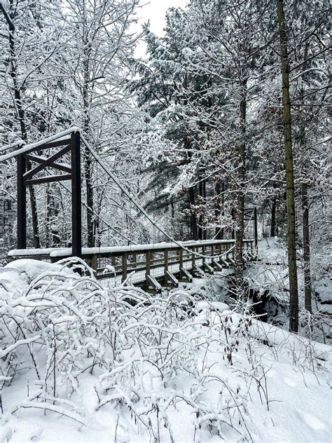 Otter Creek Preserve - Thousand Islands Land Trust