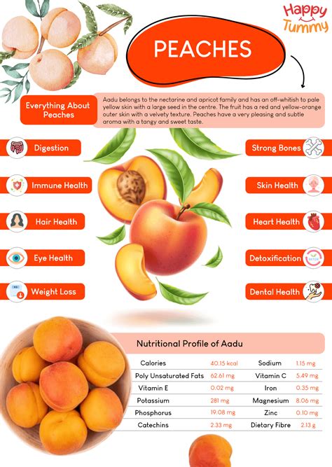 Top 11 Benefits of Peaches (Aadu) - Happytummy