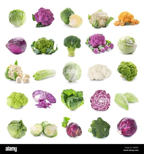 Different kinds of cabbage on white background Stock Photo - Alamy