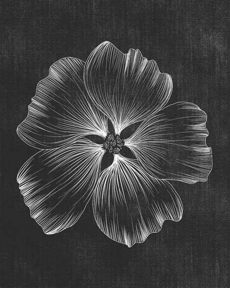 flower drawing on black paper