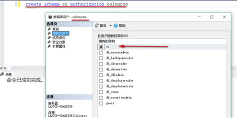 Authorization Commands in SQL Demo 的图像结果