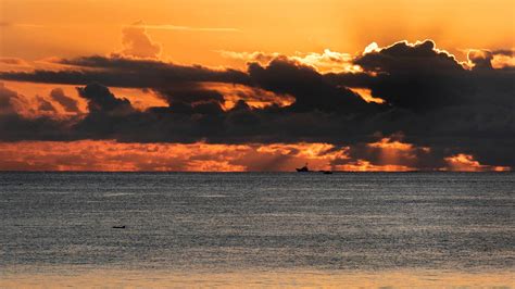 Massive Saharan Desert dust cloud is heading toward Florida