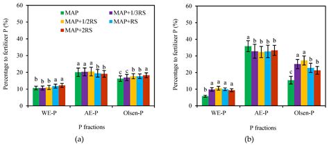 Short-Term Effect of the Addition of Rice Husk Gasification Slag on the ...