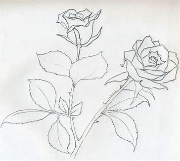 tutorial fruits and vegetables drawing for colouring