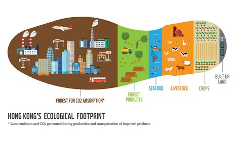 What Is An Ecological Footprint And How Is It Calculated