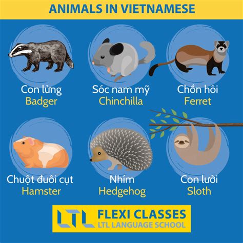 170+ Animals in Vietnamese 🦁 // Ultimate Vocab Guide & QUIZ - wildlife in vietnam