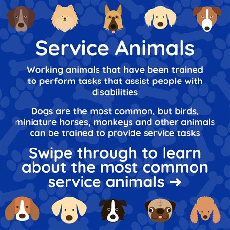 Image result for Top-Rated Fun Function