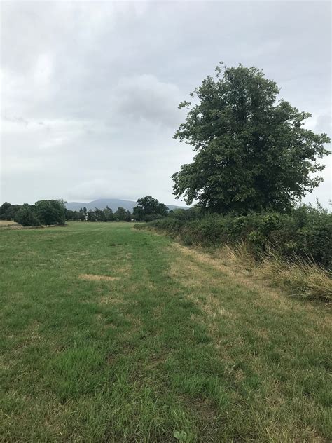 Grief: A Strange Beast. Slievenamon | by Eithne Carrigan | Medium
