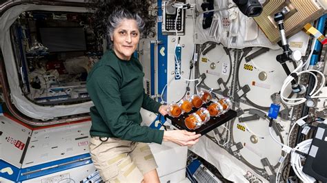 NASA Astronaut Sunita Williams scans veins with ultrasound on Space ...