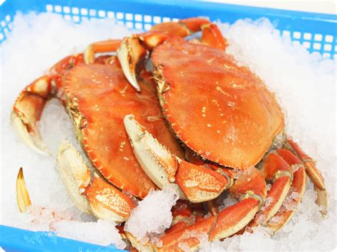 How To Cook Frozen Whole Dungeness Crab - Recipes.net