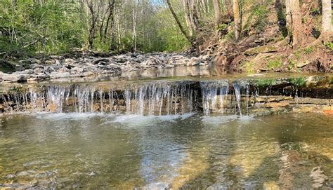 Kope Hollow Nature Preserve - Lewis and Clark Trail Experience