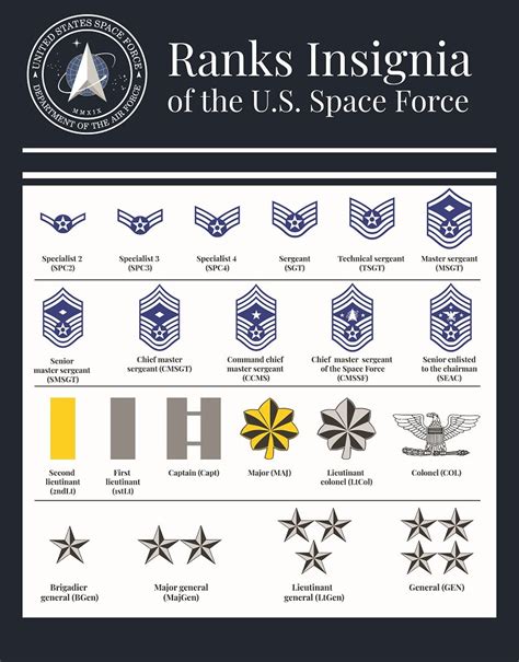 Space Force Uniforms and Ranks 的图像结果