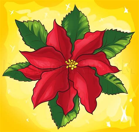 xmas flower drawing