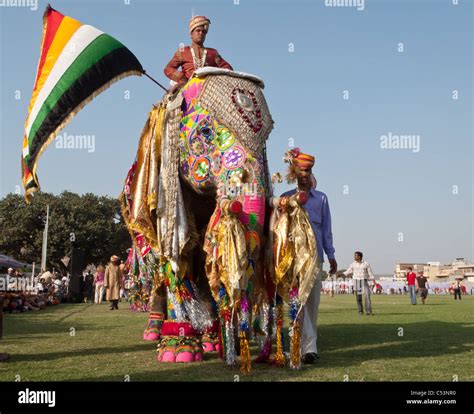 Indian Elephant Painting Festival