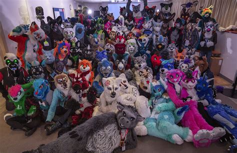 What Are Furries