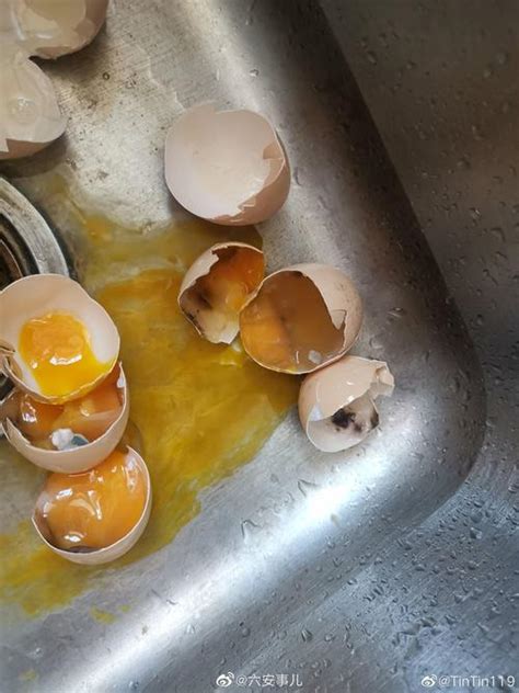 鸡蛋怎样煮才不会破、更好剥？| 果壳 科技有意思